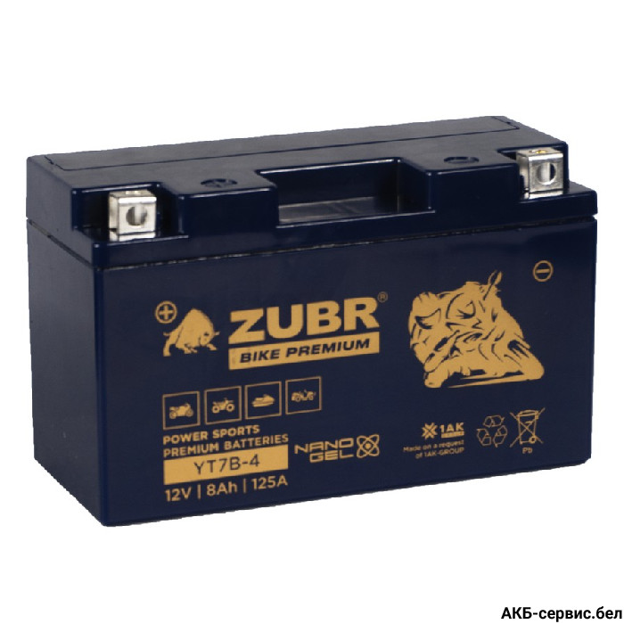 Zubr Bike Premium YT7B-4