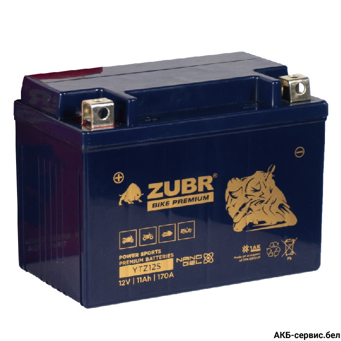 Zubr Bike Premium YTZ12S