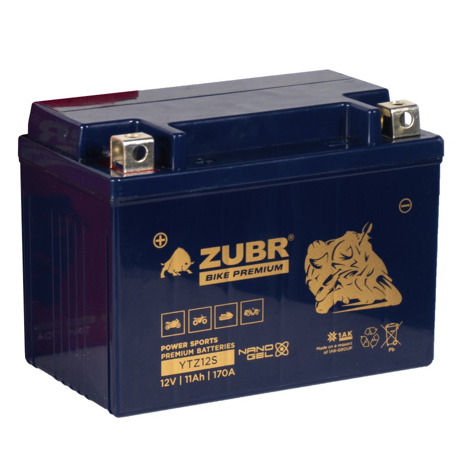 Zubr Bike Premium YTZ12S